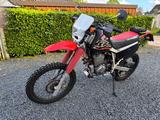 Honda XR 600 R  - HONDA XR600
