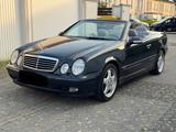 Mercedes-Benz Mercedes CLK 320 W208 Cabrio - Mercedes-Benz CLK 320 aus 1999: Cabrio