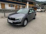Skoda Kamiq Essence 1.0 TSI DSG AHK Android Auto Sitzh - Skoda Kamiq Tageszulassungen