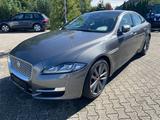 Jaguar XJ Luxury - Jaguar XJ aus 2018