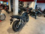 Honda NX500 Gunpowder Black *Tageszulassung 11-25* - HONDA MOTORRAD