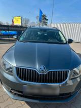 Skoda Octavia Combi 2.0 TDI DSG Elegance, ... - Skoda Octavia: Combi Elegance TDI