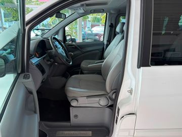 Mercedes Viano - 7