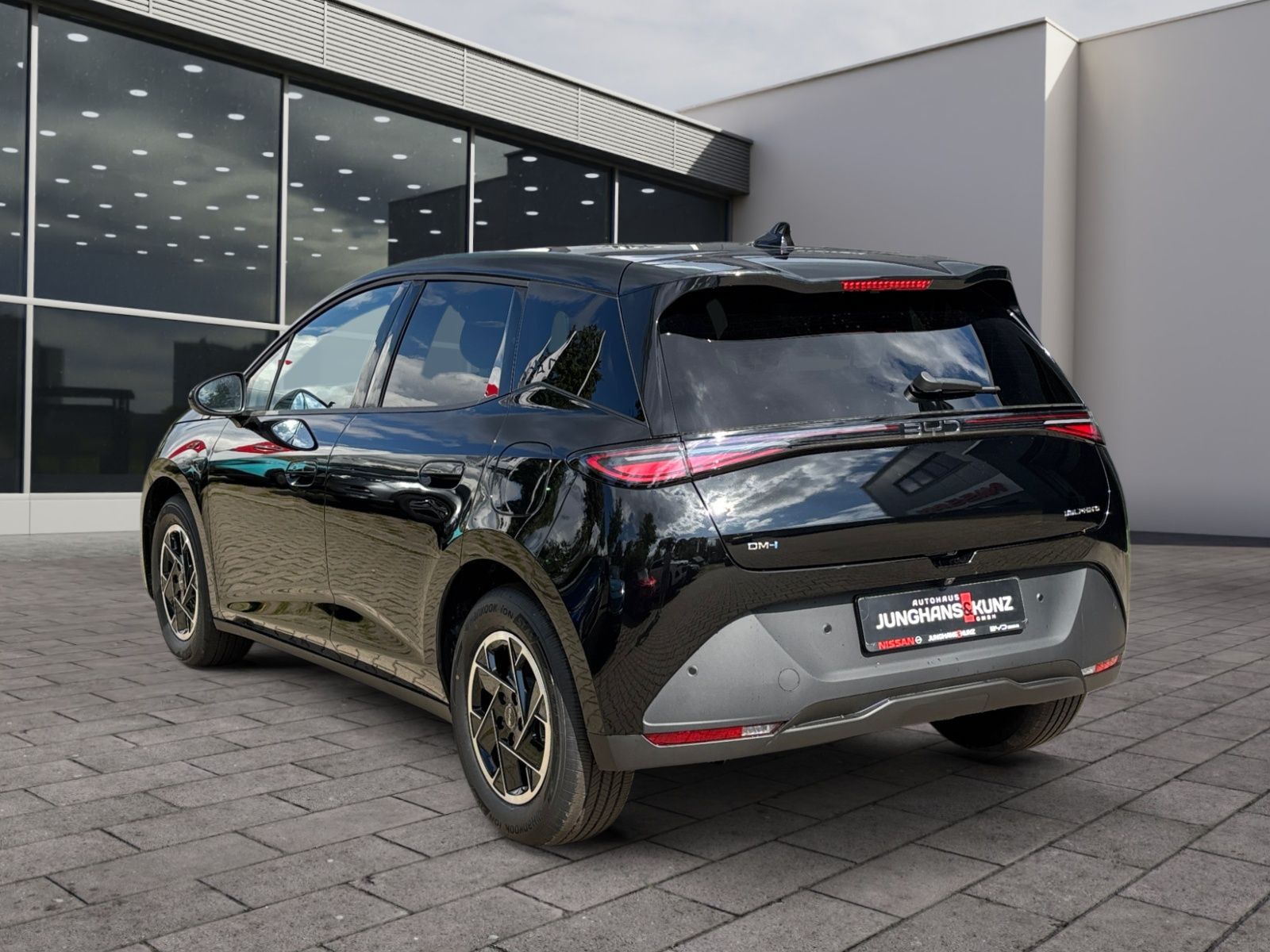 BYD DOLPHIN