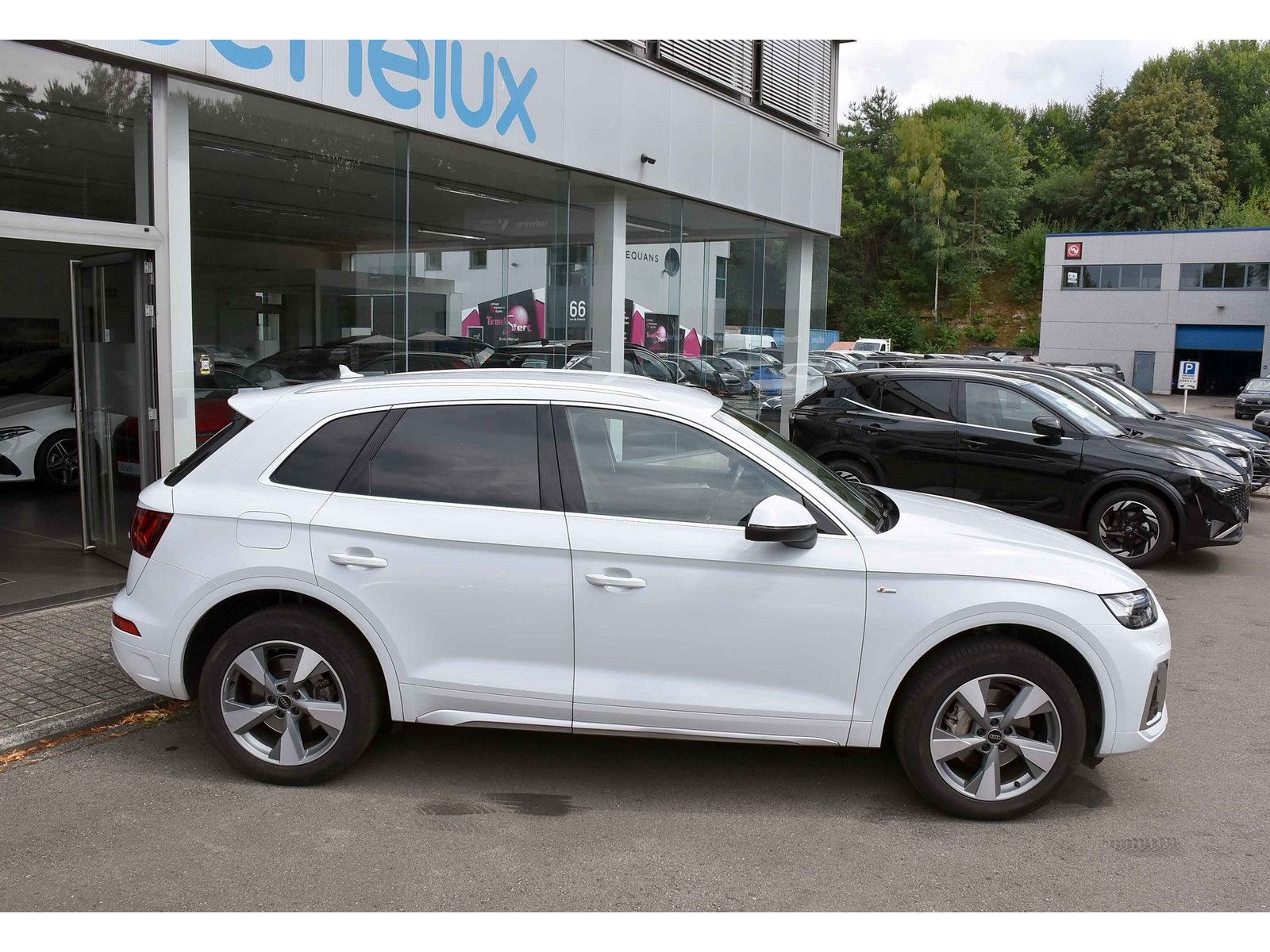 Audi Q5 40 TFSI Quattro S-Line LEDER MATRIX 1° HAND imagem 3