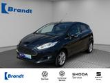 Ford Fiesta 1.0 EcoBoost Titanium PDC+ASP EL.+SHZ VO. - Ford Fiesta: V
