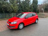 Volkswagen VW Polo 1,2 Trendline nur 26.500km - Volkswagen Polo: 50