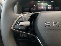 Skoda Karoq - Vorschau Bild 20