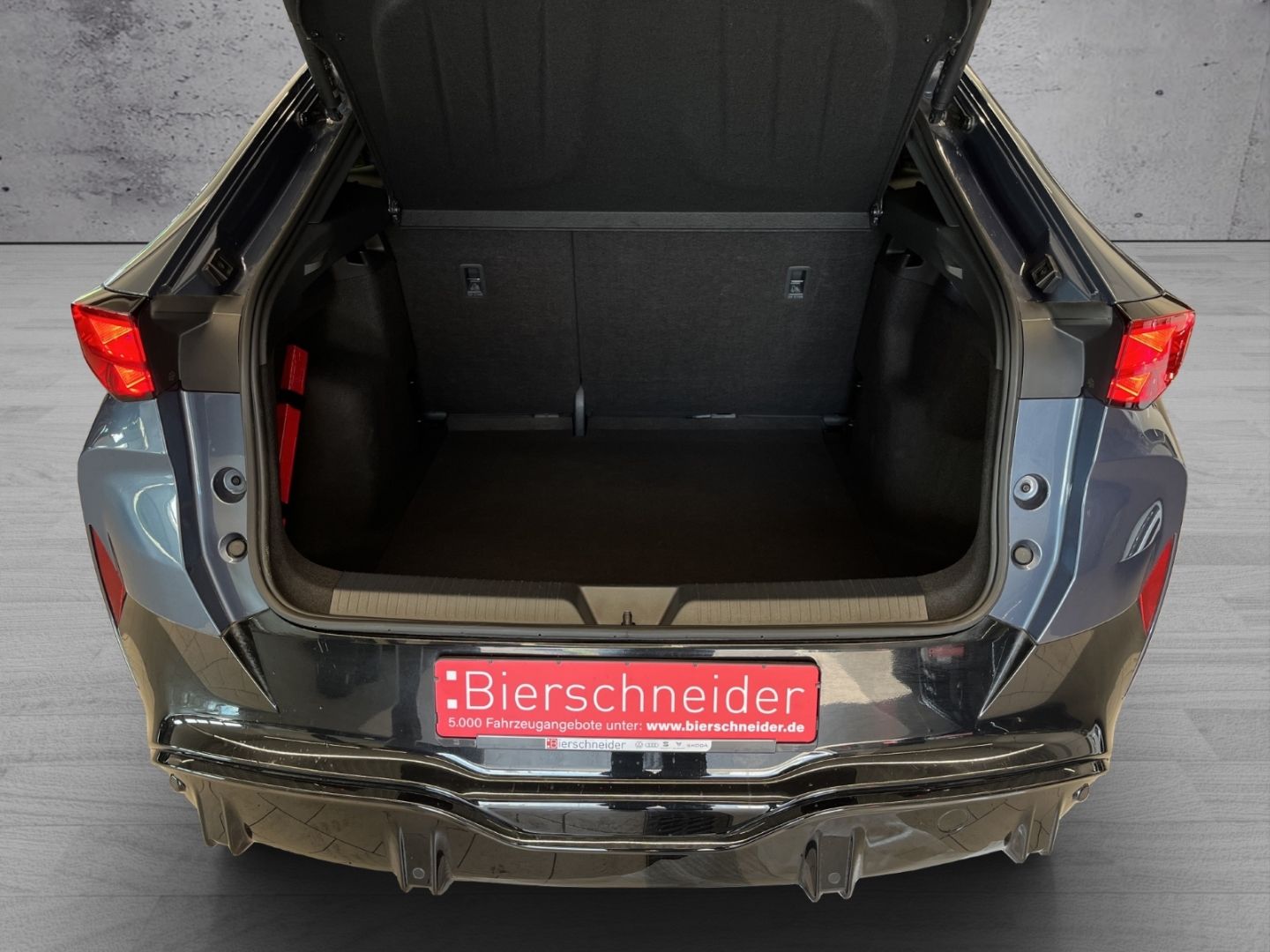 Cupra Tavascan - Bild 18