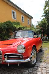Alfa Romeo Giulia Spider - Alfa Romeo Giulia mit 3 Türen