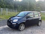 Fiat New Panda 1.2 8V MORE MORE - blaue Fiat New Panda