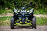 Aeon Cobra 420 LOF Umbau mit Tageszulassung - AEON MOTORRAD