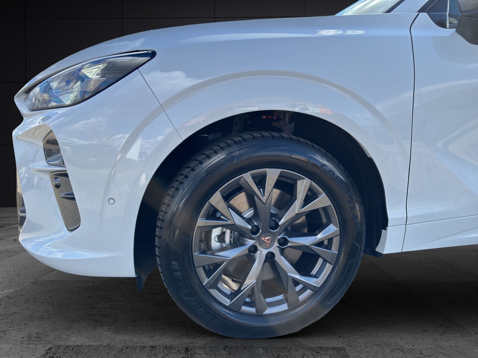 Fahrzeugabbildung CUPRA Terramar 2.0 TSI DSG 4x4 AHZ Matrix LED Pano Key