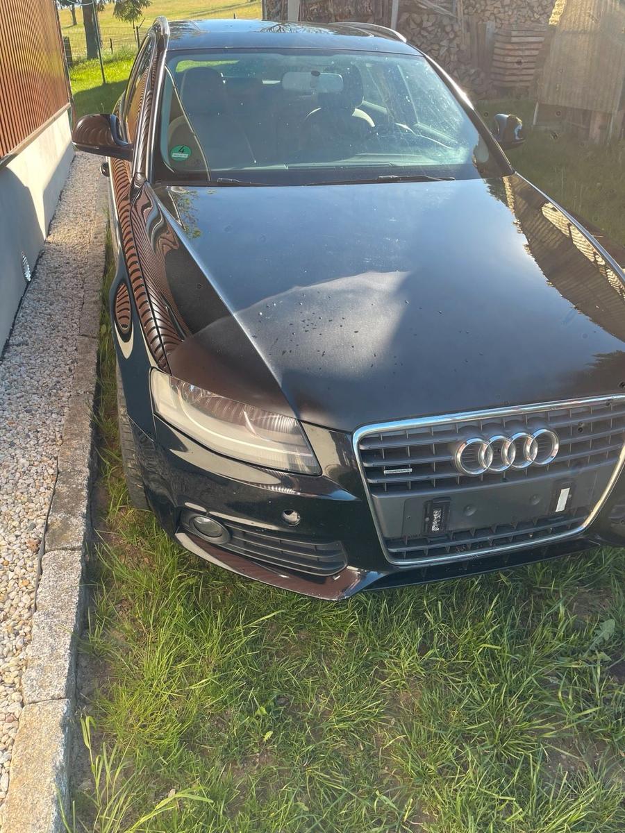 Audi Quattro 2008 — вигляд ззаду