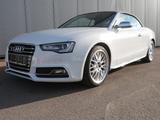 Audi S5 Cabriolet 3.0 TFSI Quattro B&O/AUDI-EXCLUSIVE - Audi S5 mit Benzin-Antrieb: Leder