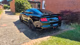 Ford Mustang GT 5.0 Kompressor Roush / Schropp - Ford Mustang: Roush