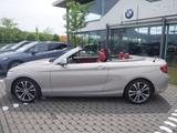 BMW 220i Cabrio Sport Line HiFi Xenon RFK Tempomat - BMW: R