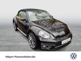 Volkswagen Beetle Cabrio 1.4 SOUND LEDER LM18 NAVI - Volkswagen Gebrauchtwagen in Hagen