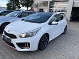 Kia ProCeed GT-Track - Kia Gebrauchtwagen in Osnabrück