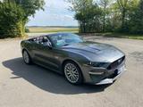 Ford Mustang 5.0 Ti-VCT V8 Black Shadow Edition A... - Ford Mustang mit Benzin-Antrieb: Cabrio, 5.0
