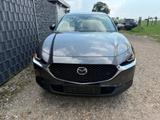 Mazda CX-30 2.0 48V ACC 360 Totwinkel Keyless SHZ - Mazda Gebrauchtwagen in Aachen