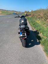 Benelli Leoncino 800 Trail - BENELLI LEONCINO 800 TRAIL