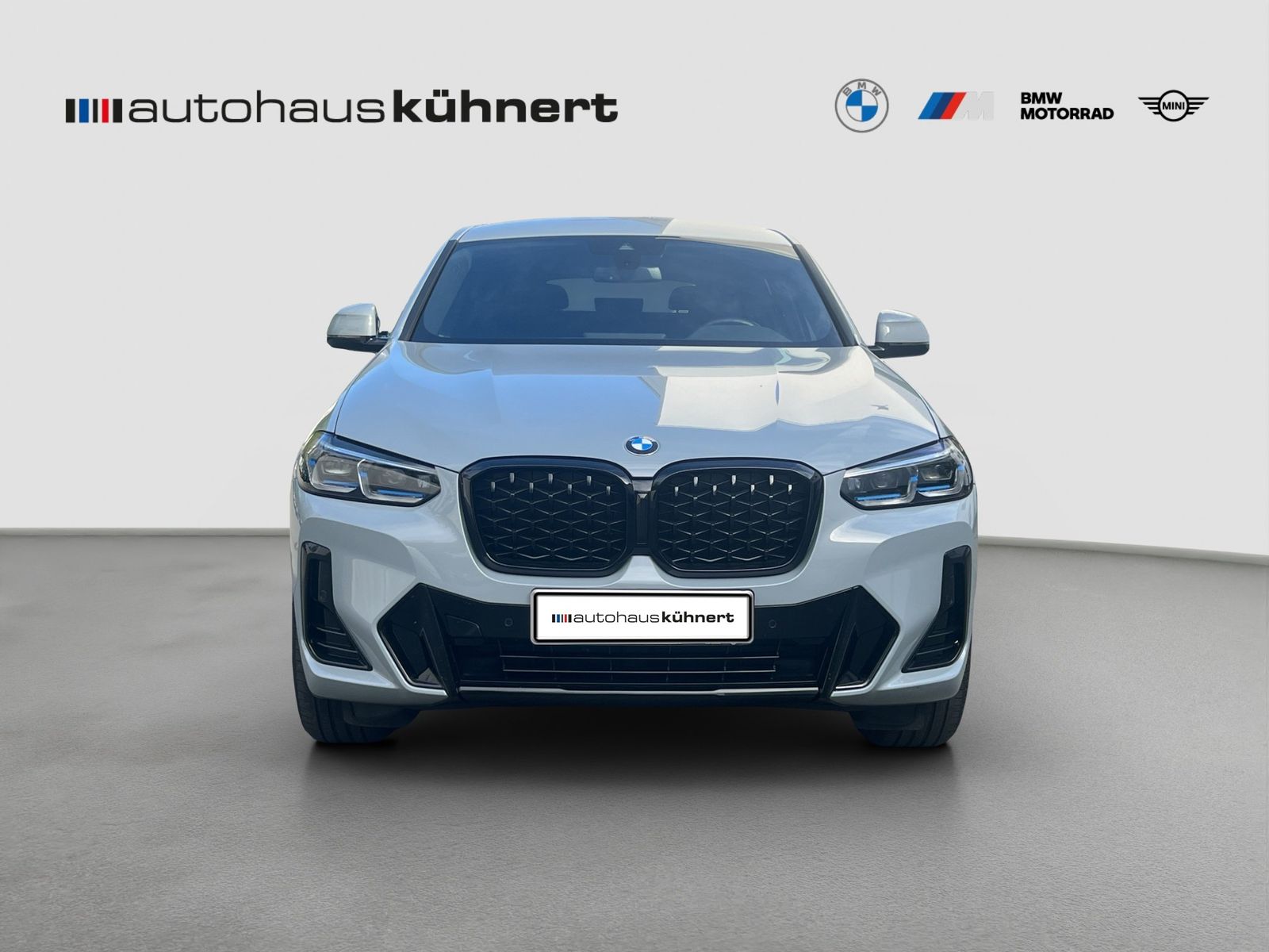 BMW X4 xDrive20i M-Sport Laser SpurAss Navi ParkAss foto 3