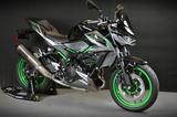 Kawasaki Z500-SE Performane 2025 gray/inkl. Starterbonus