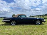 Jaguar XJS - Jaguar XJS aus 1992