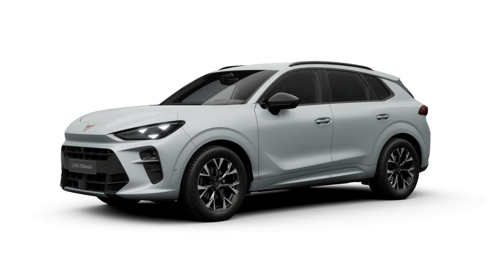 Cupra Terramar - Bild 2
