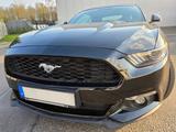 Ford Mustang 2.3 EcoBoost - 1.Hand Orig. 106.000 km - Ford Mustang: Or