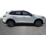 Volkswagen Tiguan 2.0 TDI Goal DSG Navi LED ACC AZV - VW Tiguan Gebrauchtwagen in Münster
