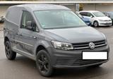 Volkswagen Caddy 2,0TDI 4MOTION Offroad AHK  Flügeltüren - : Van, Offroad