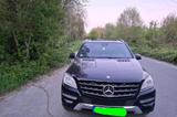 Mercedes-Benz Mercedes Benz ML 250 CDI - Mercedes-Benz ML 250 in Bremen