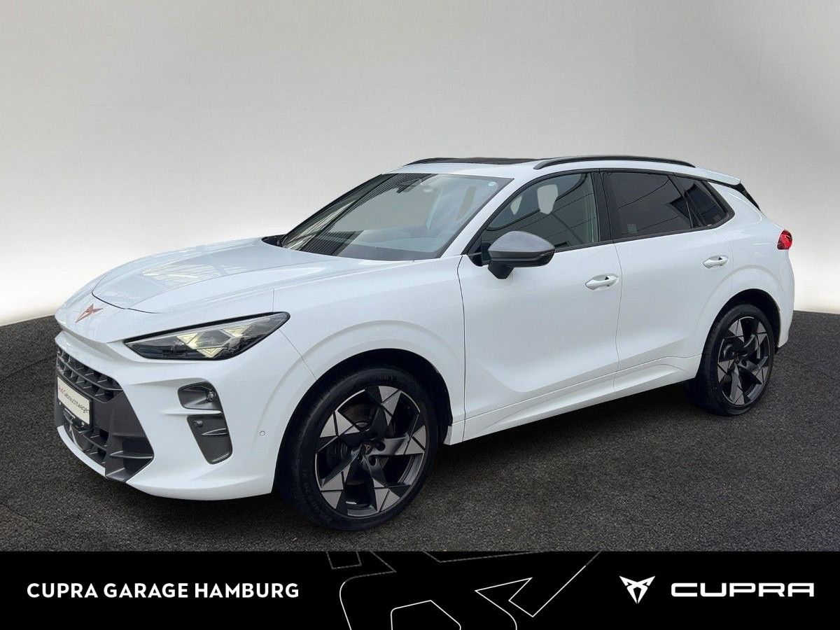 Cupra Terramar - Bild 1