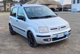 Fiat Panda 1.2 Emotion - Fiat Panda Emotion mit Benzin-Antrieb