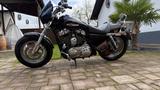 Harley-Davidson Sportster XL1200C - HARLEY-DAVIDSON 2012 SPORTSTER
