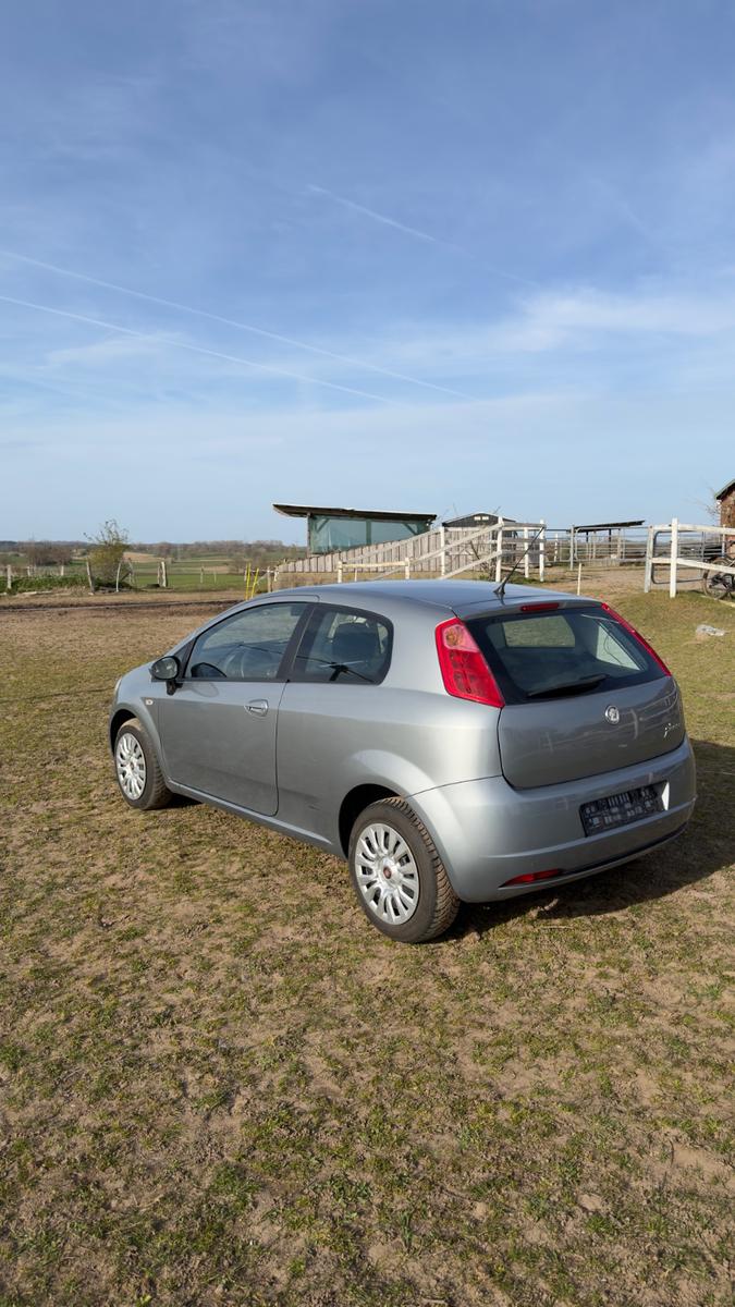 Fiat Punto 1.4 8V | TÜV 2028 | Bremsen & WSS NEU