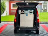 Mercedes-Benz Vaneo 1.9 Ambiente - Mercedes-Benz Vaneo mit Benzin-Antrieb