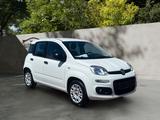 Fiat Panda Easy/1.Hand/Klima/Service+Bremsen NEU!