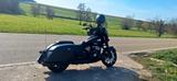 Indian Chieftain dark horse  - INDIAN CHIEFTAIN DARK HORSE