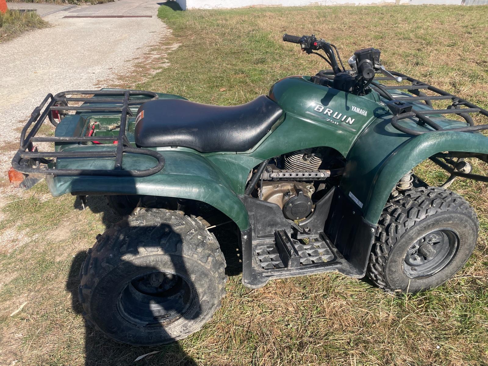 Yamaha Bruin 2007 — салон