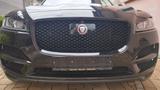 Jaguar F-Pace 30d AWD Portfolio Portfolio Luxusausst. - Jaguar F-Pace: Portfolio