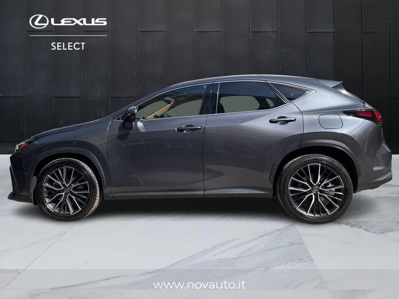 Lexus NX Hybrid Luxury 4WD imagem 3