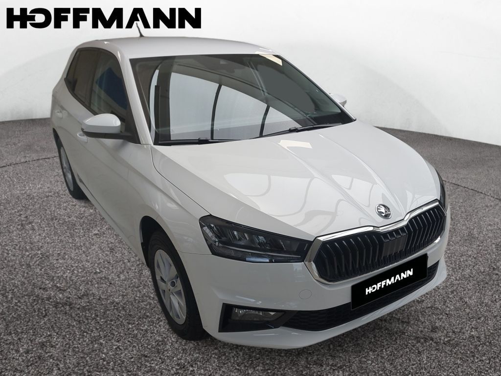 Fahrzeugabbildung SKODA Fabia 1.0 TSI Active PDC NSW Sunset
