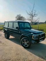 Mercedes-Benz Mercedes G300td 6Zyl Turbodiesel - Mercedes-Benz G 300 aus 1991