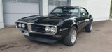 Pontiac Firebird V8 H-Zulassung Speedshifter Muscle-Car - Pontiac: Coupé