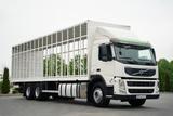 Volvo FM 380 / SOLÓWKA / 6X2 / DO PRZEWOZU ŻYWCA  /  