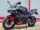 Kawasaki Ninja 500 SE Neu, Mod. 2026, sofort verfügbar! - KAWASAKI 500