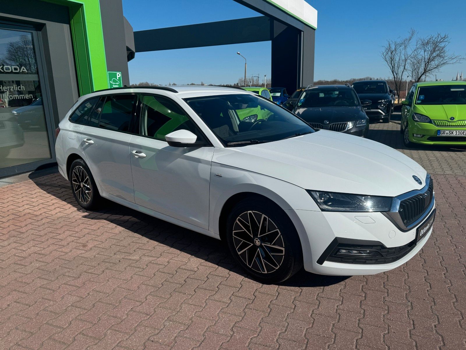 Skoda OCTAVIA Combi 2.0l TDI 85 kW 115 PS imagem 3